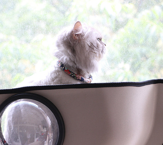 Hamaca de Ventana para Gatos con Ventosas - Image 15