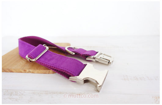 Juego de Moños con Cordón Ajustable para Perros - Image 9