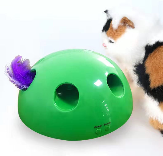 A cute tabby and white kitten with green eyes playing with a bright green dome-shaped interactive cat toy. - Image 12