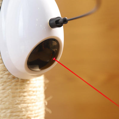 Electric cat toy with a white dome base, a flexible black rod, and a vibrant blue feather attachment. - Image 12