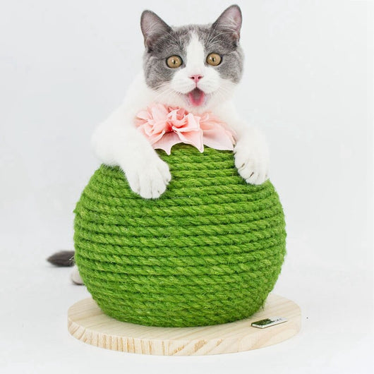Torre Rascador para Gatos con Diseño de Cactus - Image 7