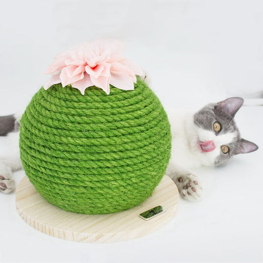 Torre Rascador para Gatos con Diseño de Cactus - Image 8