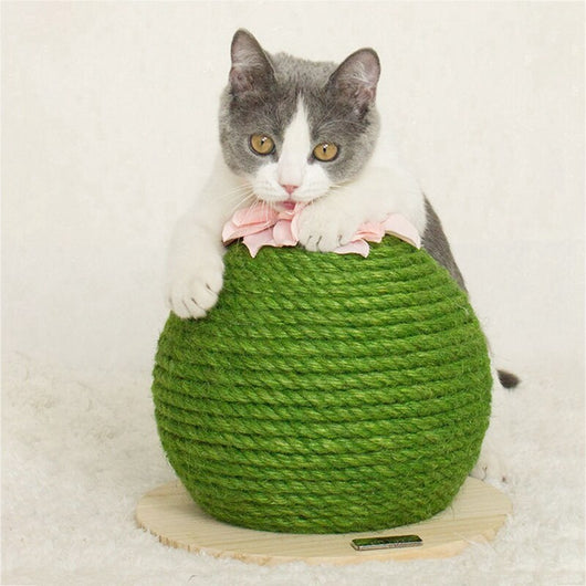 Torre Rascador para Gatos con Diseño de Cactus - Image 11
