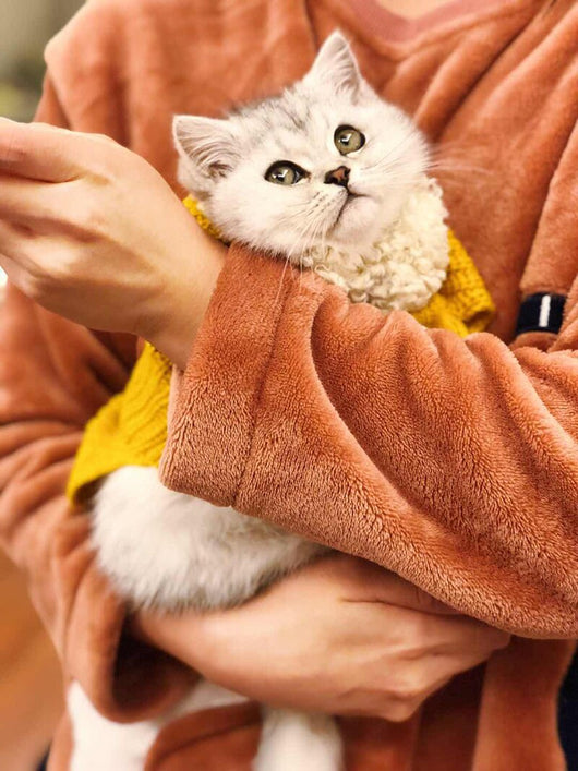 Ropa Abrigada con Moño para Perros y Gatos - Otoño e Invierno - Image 11