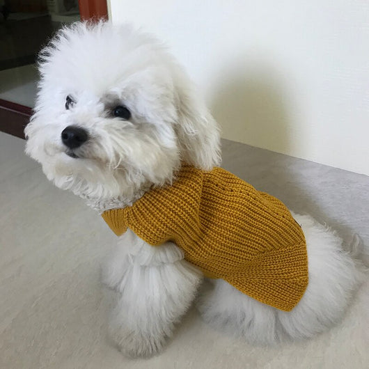 Ropa Abrigada con Moño para Perros y Gatos - Otoño e Invierno - Image 12
