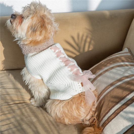 Ropa Abrigada con Moño para Perros y Gatos - Otoño e Invierno - Image 14