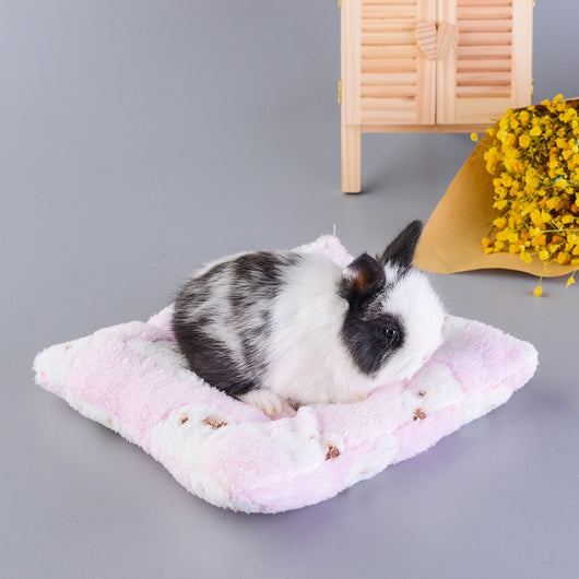 Almohadilla de Algodón para Conejos Mascota - Image 12