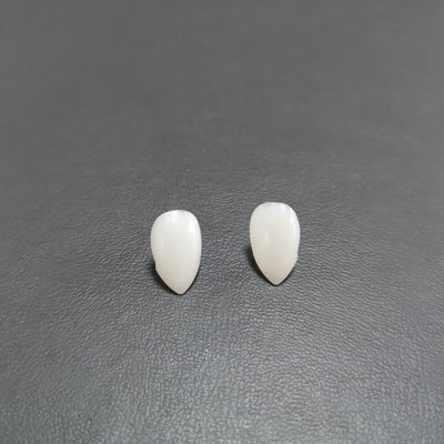 Dentaduras de Vampiro y Zombie para Halloween - Image 36