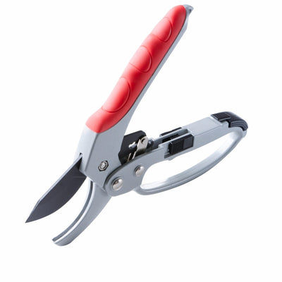 Tijeras de Corte Multiusos para el Hogar - Image 10