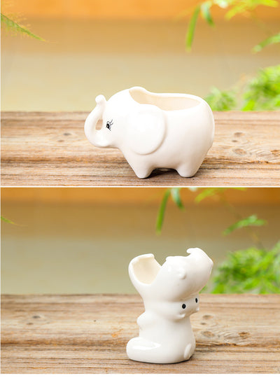 Maceta Creativa de Suculentas con Diseño Floral - Image 15