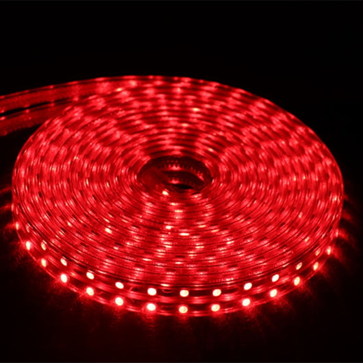 Cinturón Luminoso de Alto Voltaje - Image 16