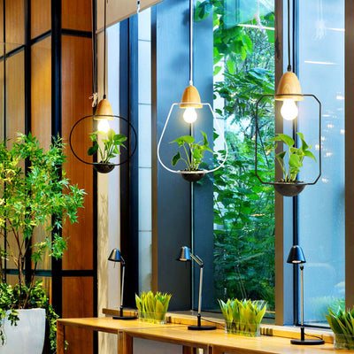 Lámpara Colgante con Plantas - Image 8