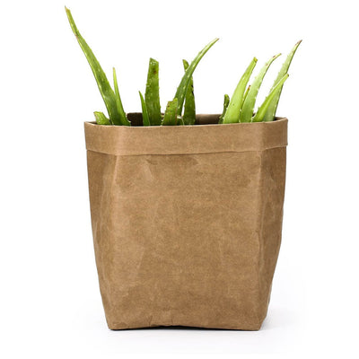 Bolsa de Almacenamiento en Papel Kraft Lavado para Macetas y Suministros - Image 16