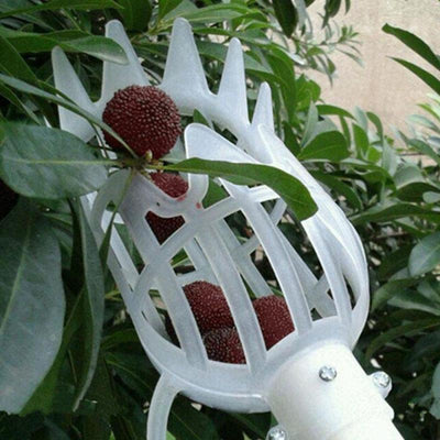 Recolector de Frutas para Alturas - Image 13