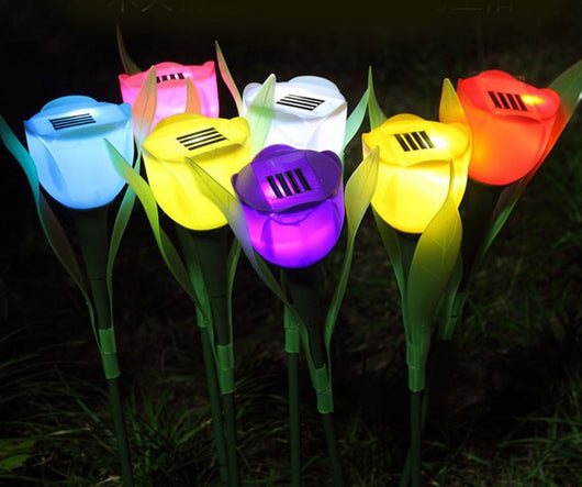 Luz Solar para Jardín - Iluminación LED Exterior - Image 11