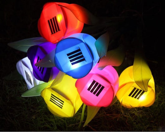 Luz Solar para Jardín - Iluminación LED Exterior - Image 13