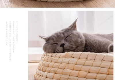 Casa Cama para Gatos de Fieltro Teng Wok - Image 13