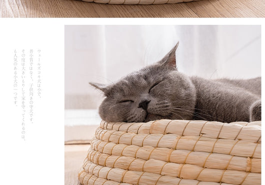 Casa Cama para Gatos de Fieltro Teng Wok - Image 13