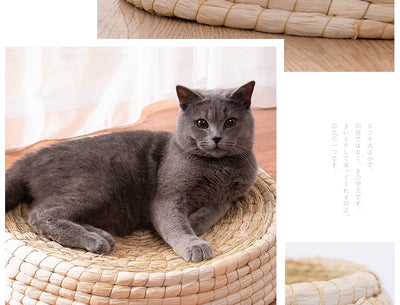 Casa Cama para Gatos de Fieltro Teng Wok - Image 14