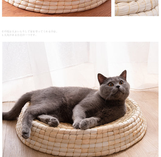 Casa Cama para Gatos de Fieltro Teng Wok - Image 15