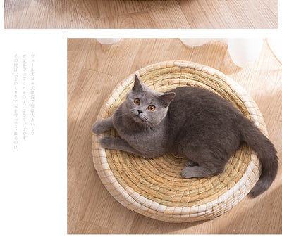 Casa Cama para Gatos de Fieltro Teng Wok - Image 16