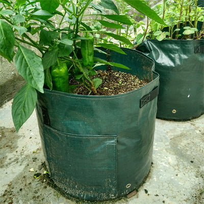 Bolsa de Cultivo en Tela PE para Huertos y Jardines - Image 14