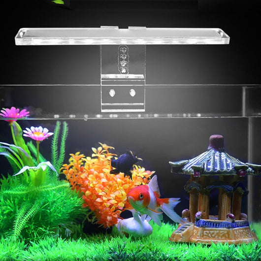 Iluminación LED para Acuarios - Image 10