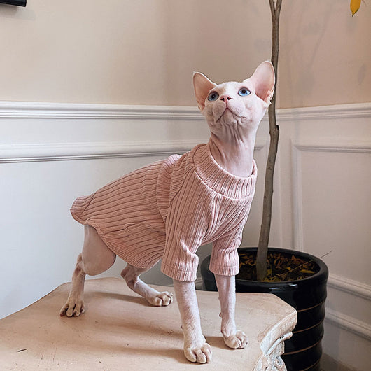 Ropa Minimalista de Algodón Puro Elástico para Gatos sin Pelo - Image 6
