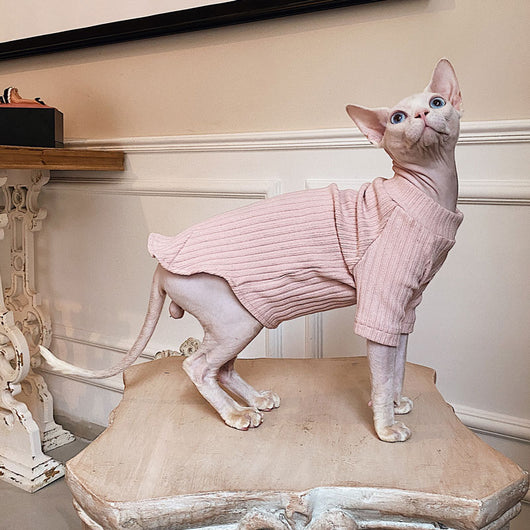 Ropa Minimalista de Algodón Puro Elástico para Gatos sin Pelo - Image 10