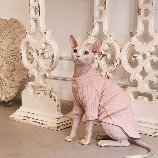 Ropa Minimalista de Algodón Puro Elástico para Gatos sin Pelo - Image 11