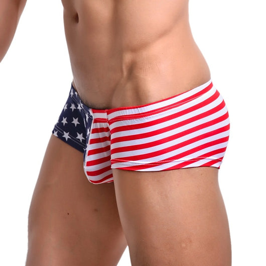 Shorts con Estampado de Banderas - Image 9