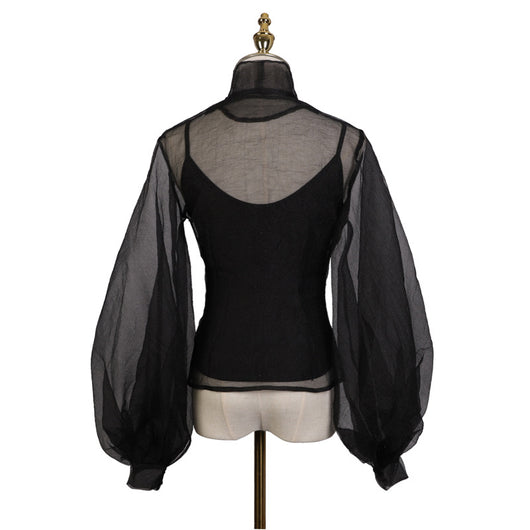 Blusa Sexy de Manga Vuelo Transparente - Image 8