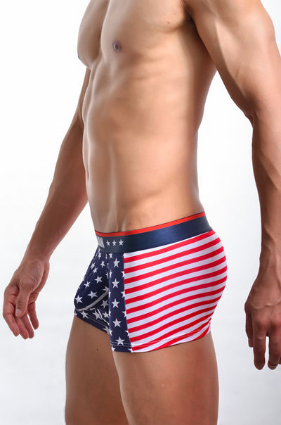 Bóxers Estampados con Bandera Americana de Costilla Elástica - Image 7