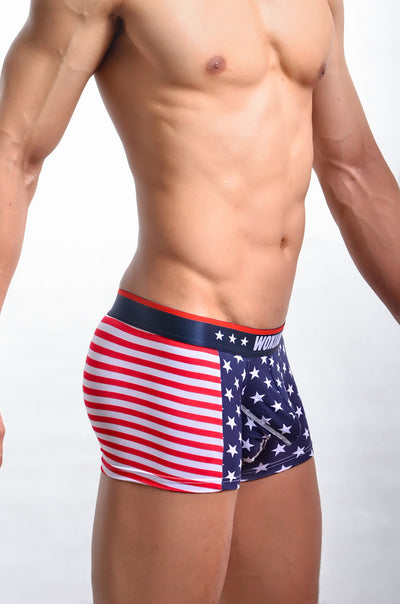 Bóxers Estampados con Bandera Americana de Costilla Elástica - Image 8