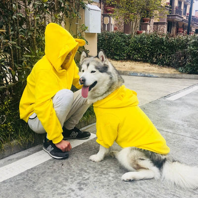 Suéter para Perro Todas las Estaciones - Image 8