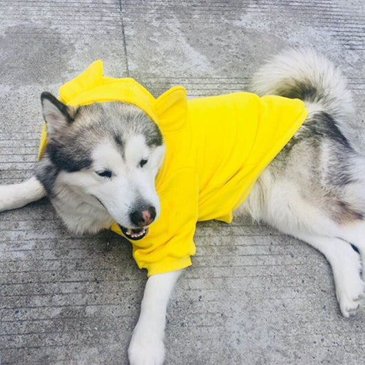Suéter para Perro Todas las Estaciones - Image 10