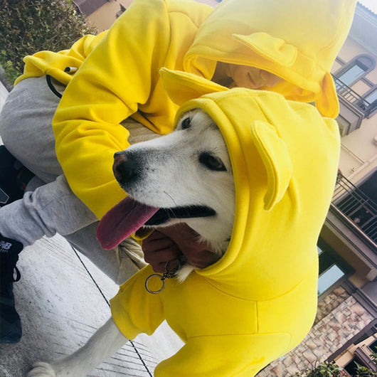 Suéter para Perro Todas las Estaciones - Image 11