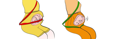 Cinturón de Apoyo Prenatal para Embarazadas - Image 36