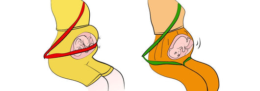Cinturón de Apoyo Prenatal para Embarazadas - Image 36