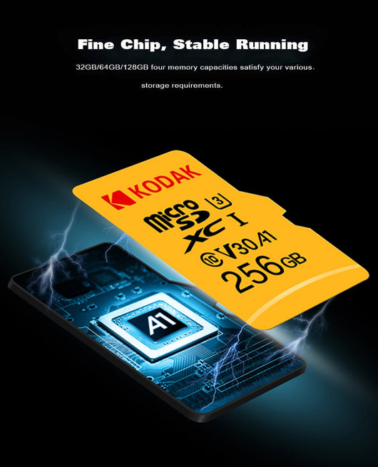 Tarjeta microSD Clase 10 para cámaras de vigilancia - Image 19