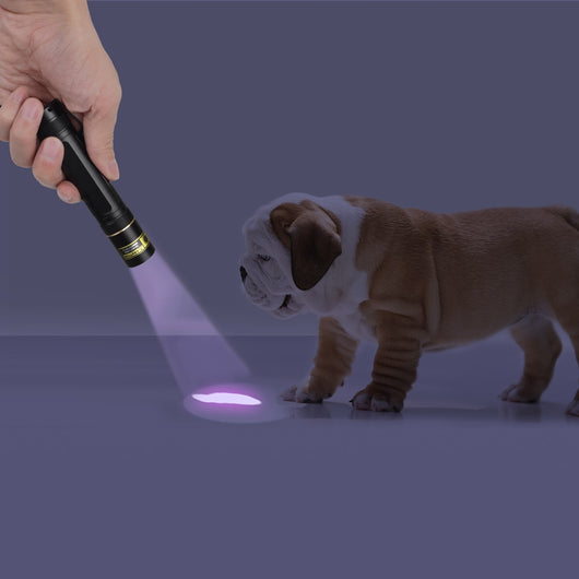 Linterna Detectora UV 365nm - Lámpara de Luz Negra para Inspección Profesional - Image 19