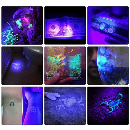 Linterna Detectora UV 365nm - Lámpara de Luz Negra para Inspección Profesional - Image 21