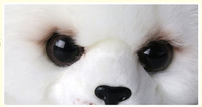 Peluche Foca Realista - Image 12