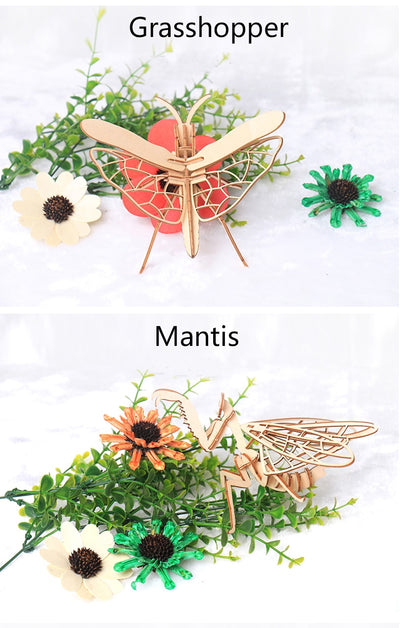 Puzzle 3D de Madera - Modelo de Insecto - Image 7