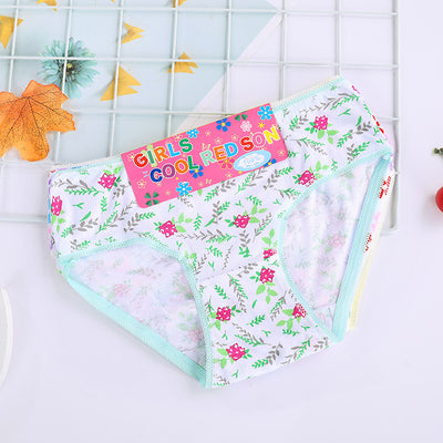 Calzoncillos de algodón para niños - Image 13