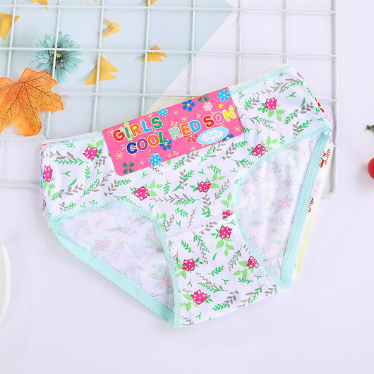 Calzoncillos de algodón para niños - Image 13