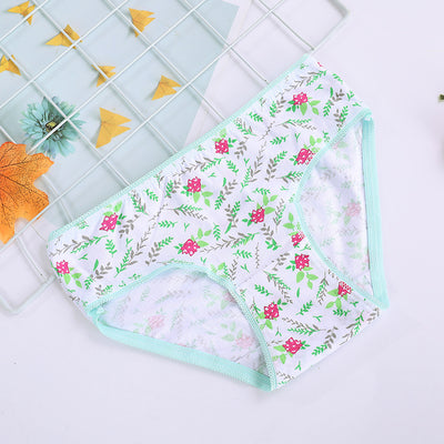 Calzoncillos de algodón para niños - Image 14