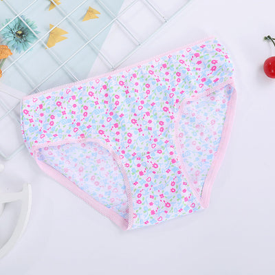 Calzoncillos de algodón para niños - Image 20