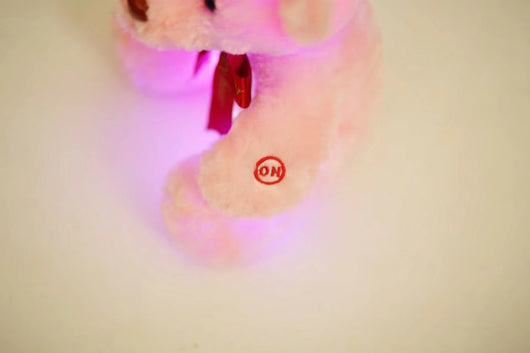 Osito de Peluche Luminoso - Peluche Interactivo con Luz LED - Image 20