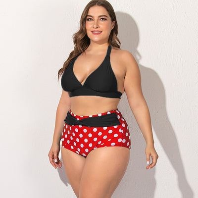 Bikini Dividido de Dos Piezas - Image 13